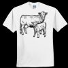 Everyone's Favorite T-Shirt for the Whole Family Thumbnail