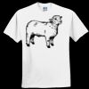Everyone's Favorite T-Shirt for the Whole Family Thumbnail